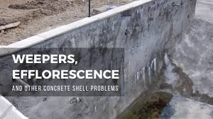 We did not find results for: Weepers Efflorescence And Other Concrete Pool Shell Problems