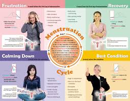 Menstrual Cycle Phases And Symptoms Menstrual Cycle Phases