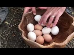 The usda considers them safe to eat for 45 days after processing. How To Tell If An Egg Is Fresh Or Spoiled Using The Water Float Test Youtube