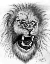 roaring lion drawing by kuldeep singh