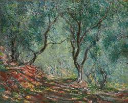 Olive Trees In The Moreno Garden 1884