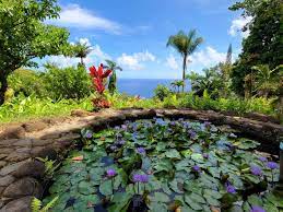 garden of eden maui this hawaii life
