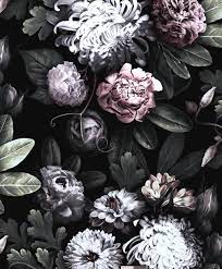 Floral Black Wallpapers on WallpaperDog