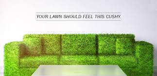 Our Lawn Care Services Clermont Fl