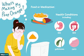 What Causes Orange Poop And What To Do About It