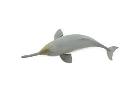 ganges river dolphin realistic toy