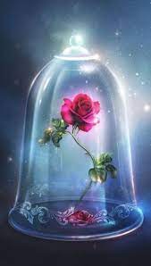 Enchanted Rose In The Glass Bell Jar
