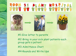 1 Give Letter To Parents 2 Bring In Your Sick Plant