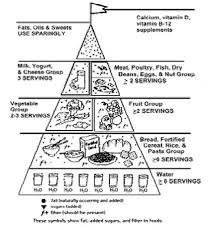 New Food Pyramid For Seniors Ages 50 70 And Beyond