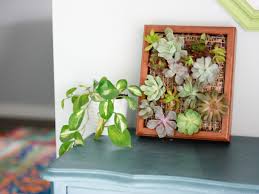 diy succulent wall planter