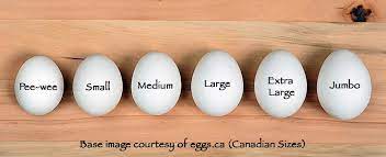 @eatjust is coming to @wholefoods and for more information about just plant egg's forthcoming availability in canada, please visit ju.st/canada. Egg Size And Weight An International Guide With Egg Size Comparison Chart