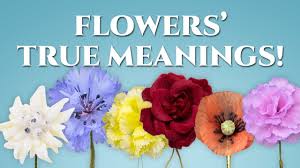 the true meanings of flowers revealed