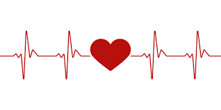 heartbeat vector png vector psd and