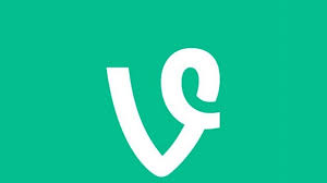 vine camera