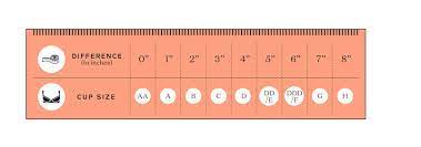 bra size calculator how to figure out