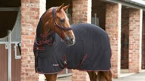 best magnetic rugs for horseore