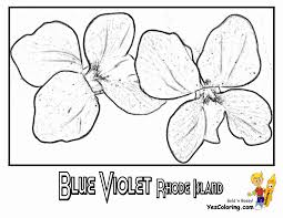 How to decline wedding invitations gracefully sample. Distinguished Flower Coloring Pages P W Penn Wyoming Territories