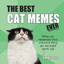 Cat memes started really rolling with the website icanhascheezburger in our current landscape facebook, and imgur always has new funny cat meme #frontcamtellstoomuchtruth. 100 Dank Cat Memes Ever That Will Make You Rock N Roll