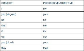 Possessive Adjectives And Pronouns Wall Street English