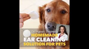 ear cleaner for pets you