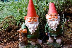 Garden Gnome Stolen And The Thieves