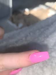 lavender nail waxing 1001 main st