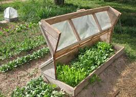 Cold Frame Plans For Your Winter Garden