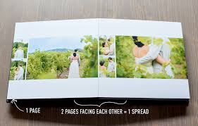 Anatomy Of A Wedding Album And Faqs Nyc And Raleigh Wedding