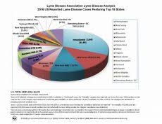 Cases Stats Maps Graphs Lyme Disease Association