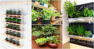 Food With Indoor Vegetable Garden
