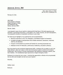    Executive Director Cover Letter Sample Cover Letter best cover    