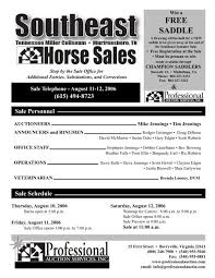 horse s professional auction