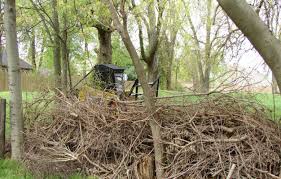 Maybe you would like to learn more about one of these? Land Clearing Brush Removaldayton Tree Removal Trimming Stump Grinding Removal
