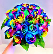 rainbow roses bouquet must in