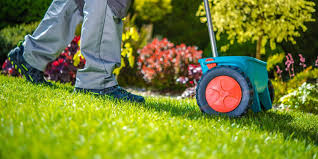 Overseeding the lawn is a tedious task. How To Overseed Your Lawn 2021 Costimates Com