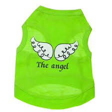 Amazon Com Lethez Puppy T Shirt Pet Angel Wings Print Vest