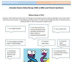 Dna Vs Rna Protein Synthesis Handout Made By The Amoeba