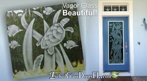 Turtles Etched On Vapor Glass Door