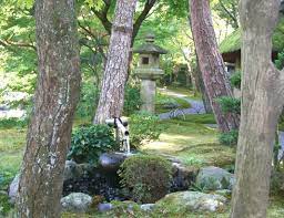 Japanese Garden Design Landscpae