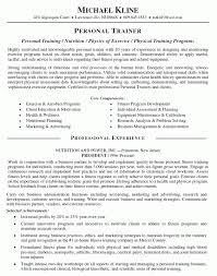 Resume Professional Profile Examples Personal Example