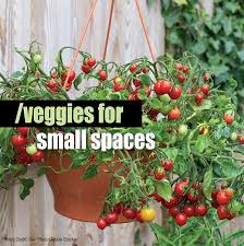 Vegetables For Small Spaces About The