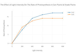 The Effect Of Light Intensity On The Rate Of Photosynthesis