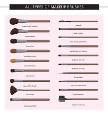 all types of makeup brushes vector set