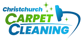 professional carpet cleaning stain
