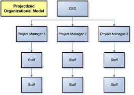 Advantages Of Different Org Structures On Marketing Project
