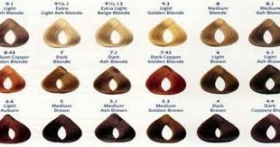 loreal hair color chart professional