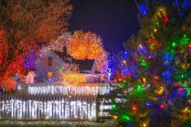 Reserve tickets to gardens' york st. Trail Of Lights At Denver Botanic Gardens Chatfield Farms Timed Tickets Required Mile High On The Cheap
