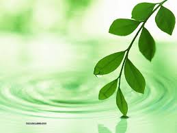 Image result for images The Green Leaves Of Summer