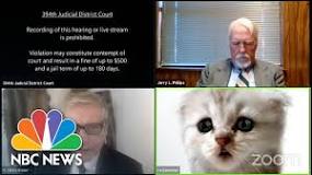 Image result for how did the lawyer get the cat filter
