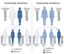 Genetic diseases and disorders are the result of anomalies in a gene or an entire part of the chromosome of an individual. Dominance Genetics Wikipedia